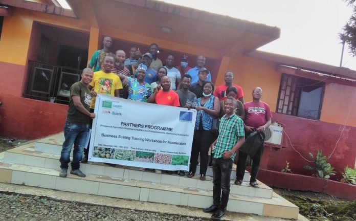 SPARK awards US$63K grant to 10 Liberian agribusinesses