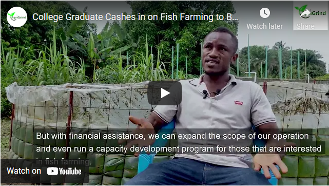 College Graduate Cashes in on Fish Farming to Beat Unemployment