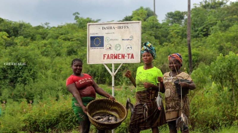 Gbarpolu county registers second fish harvest, as youth and women applaud EU-funded project